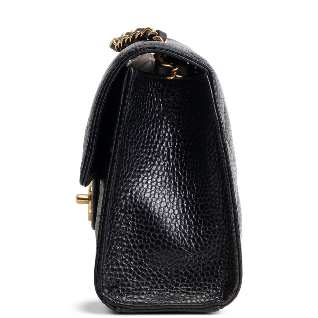 CHANEL Grained Calfskin Cruise Flap Bag