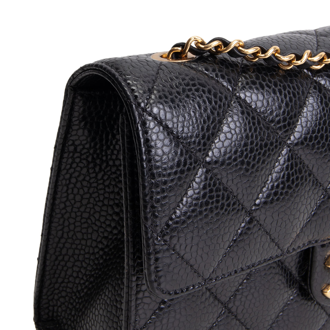 CHANEL Grained Calfskin Cruise Flap Bag