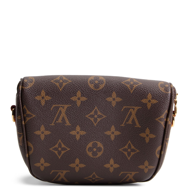 LOUIS VUITTON Monogram Bumbag Mini