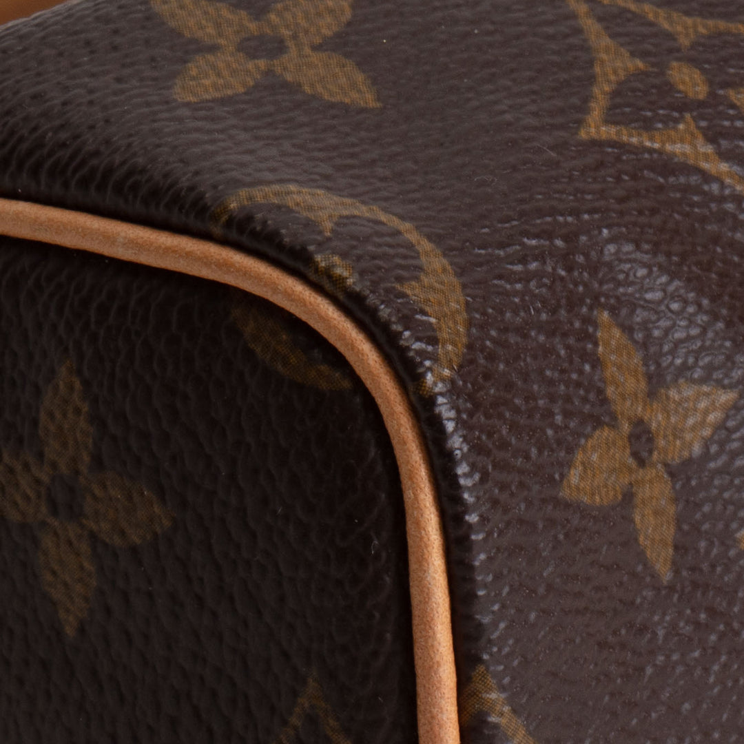 LOUIS VUITTON Monogram Speedy Nano