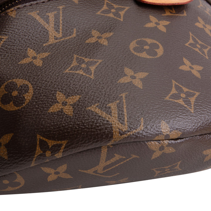 LOUIS VUITTON Monogram Bumbag