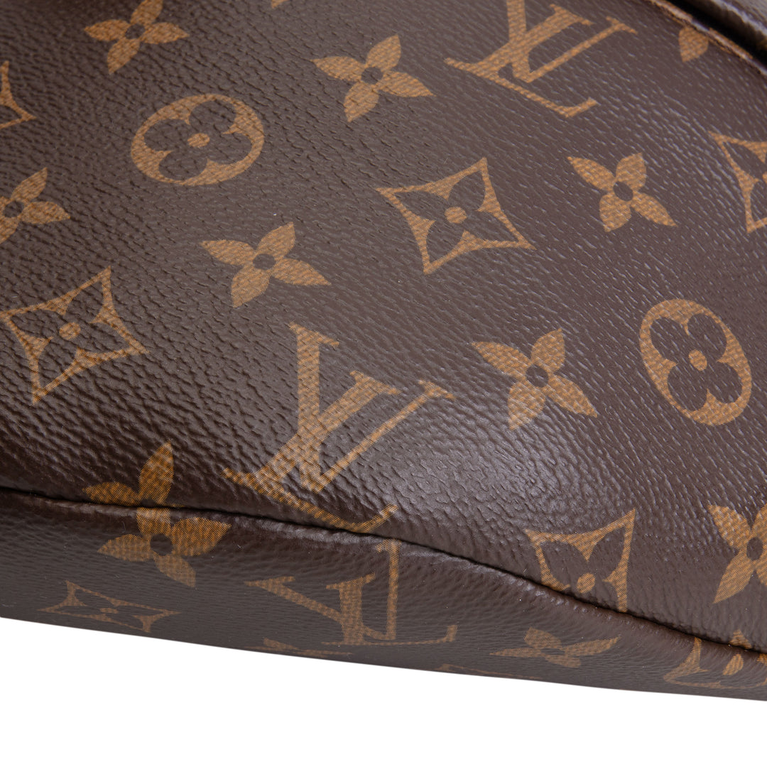 LOUIS VUITTON Monogram Bumbag