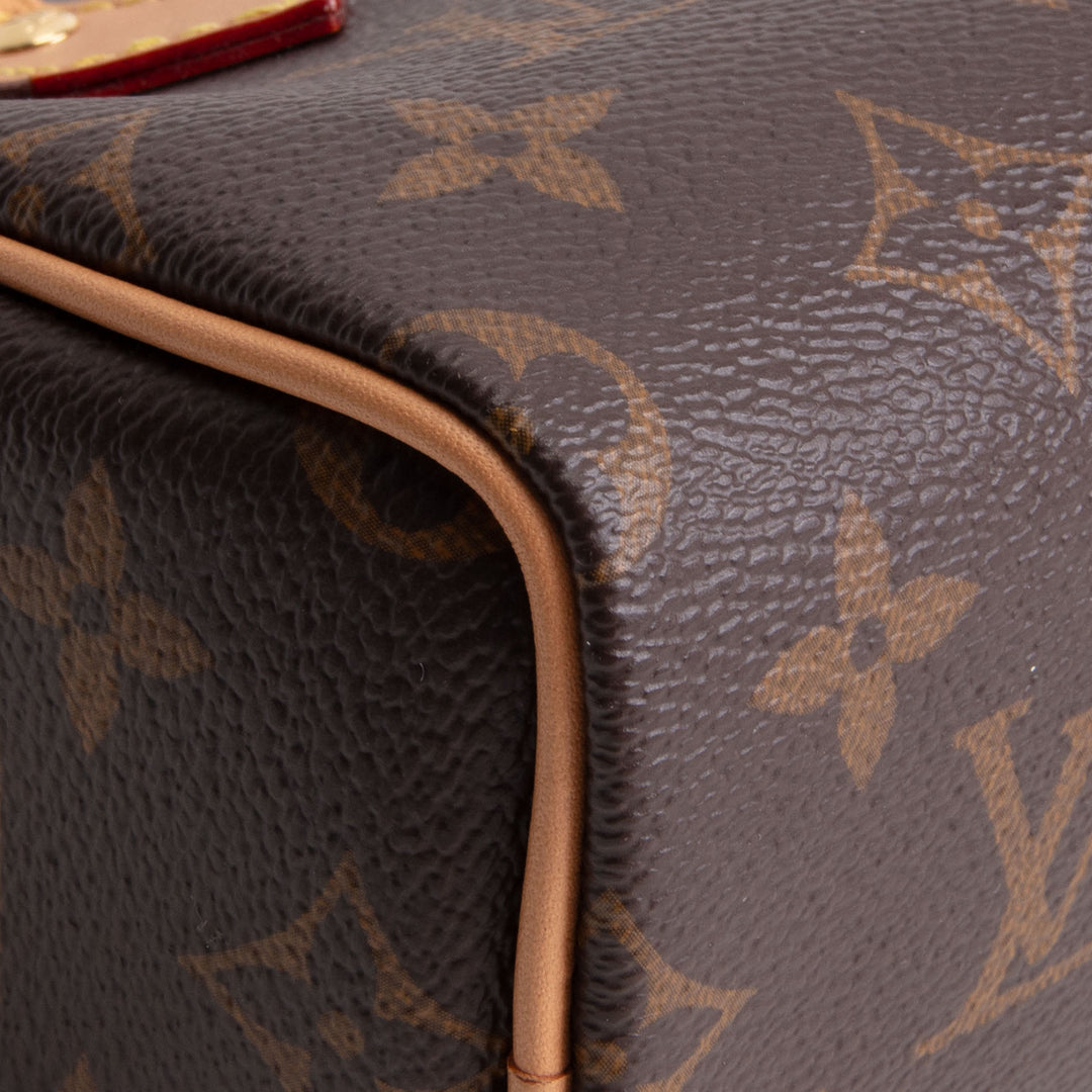 LOUIS VUITTON Monogram Nano Speedy Bandouliere