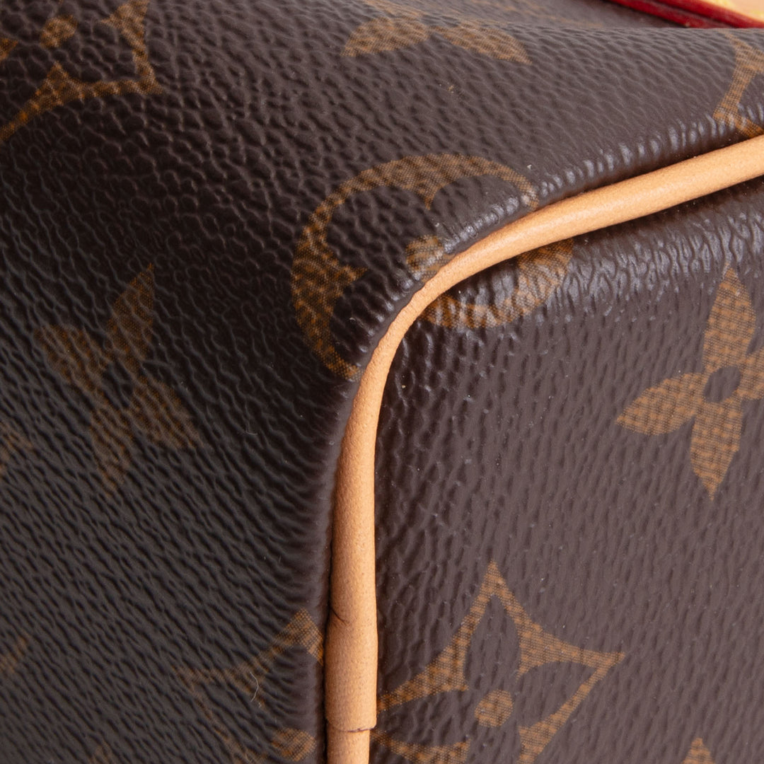 LOUIS VUITTON Monogram Nano Speedy Bandouliere