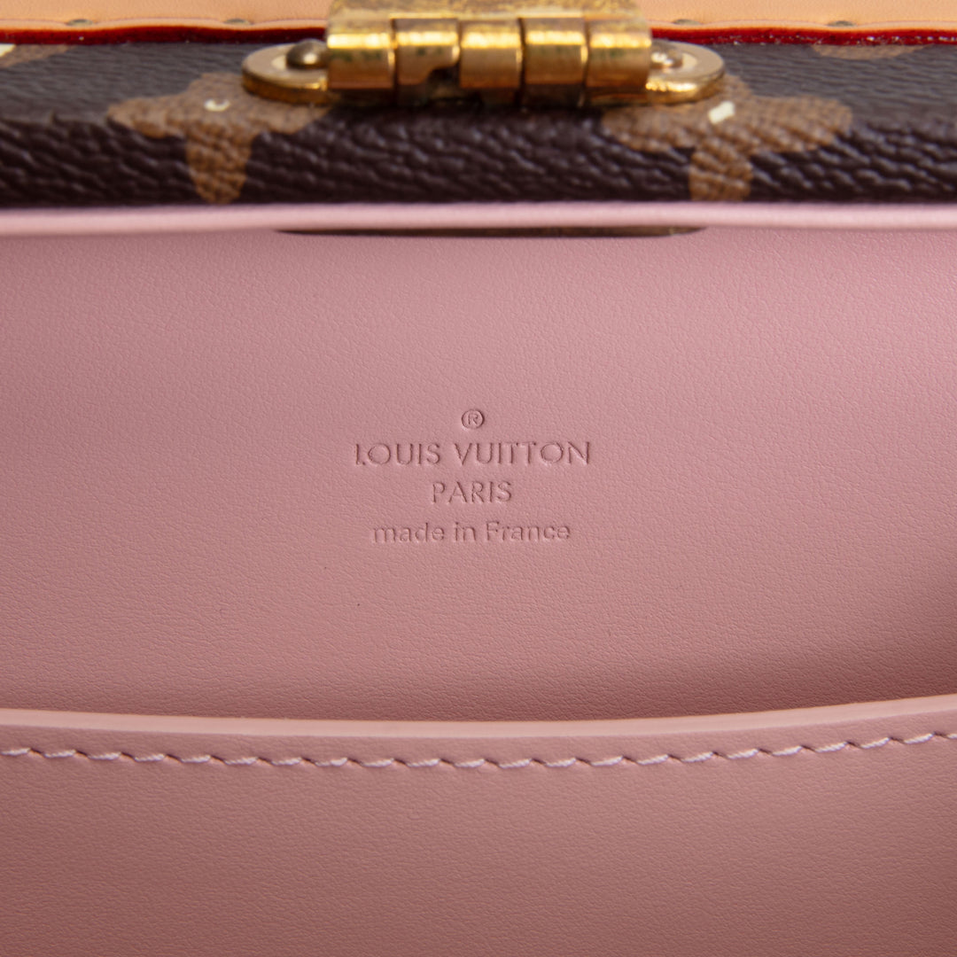 LOUIS VUITTON x Tyler the Creator Monogram Craggy Trunk - Brown