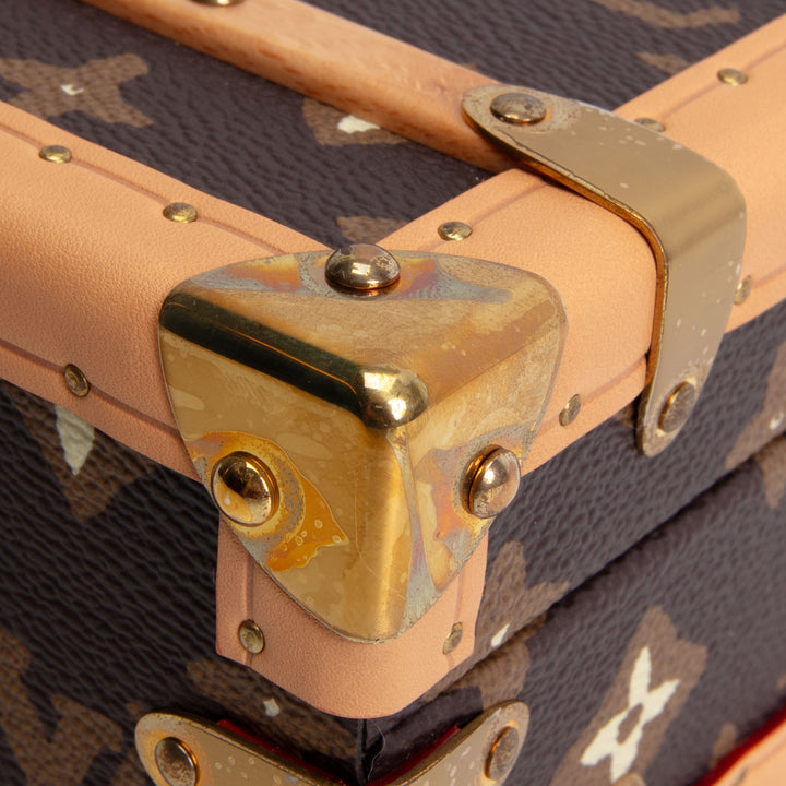 LOUIS VUITTON x Tyler the Creator Monogram Craggy Trunk - Brown