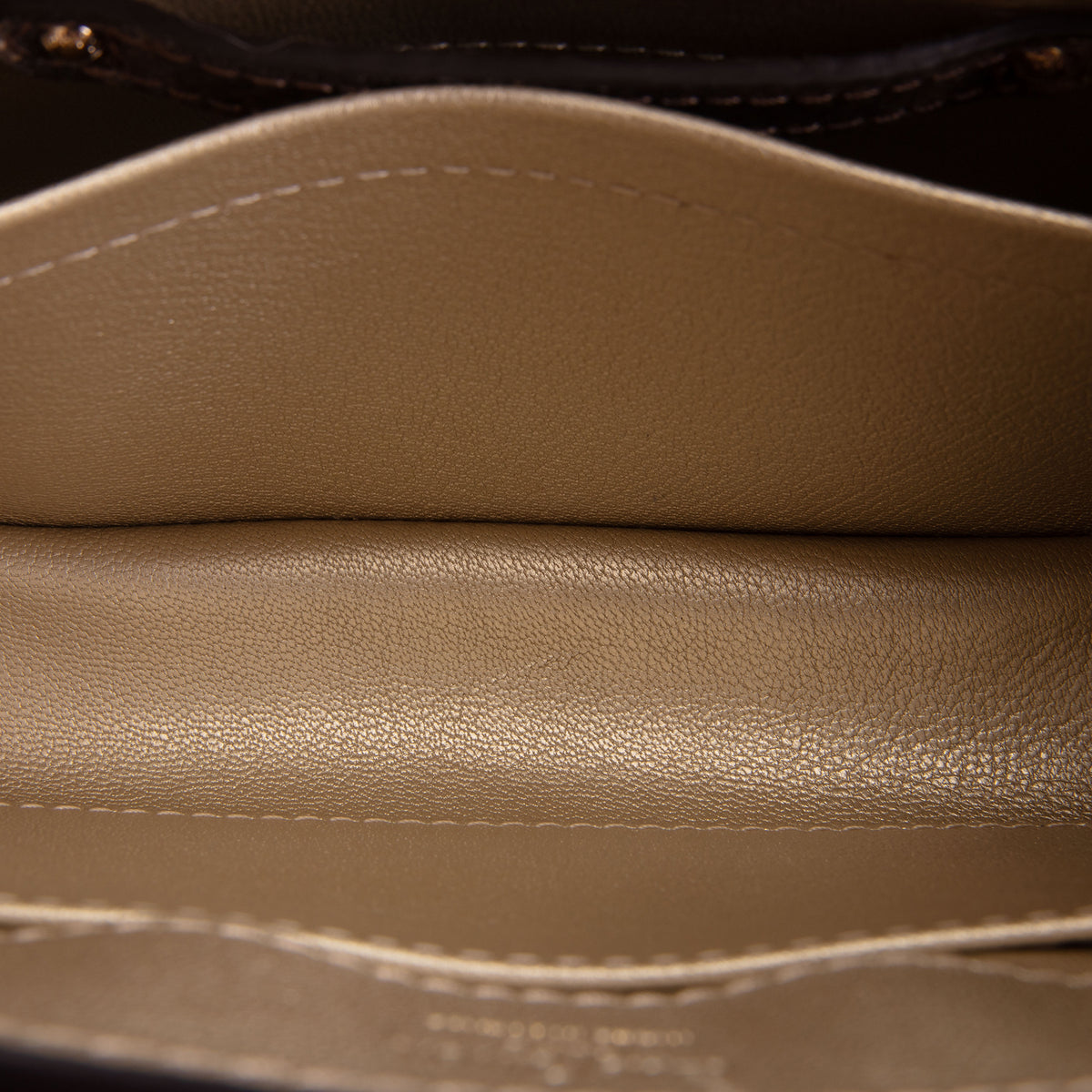 LOUIS VUITTON Lizard Mini Capucines Handle Bag - Brown