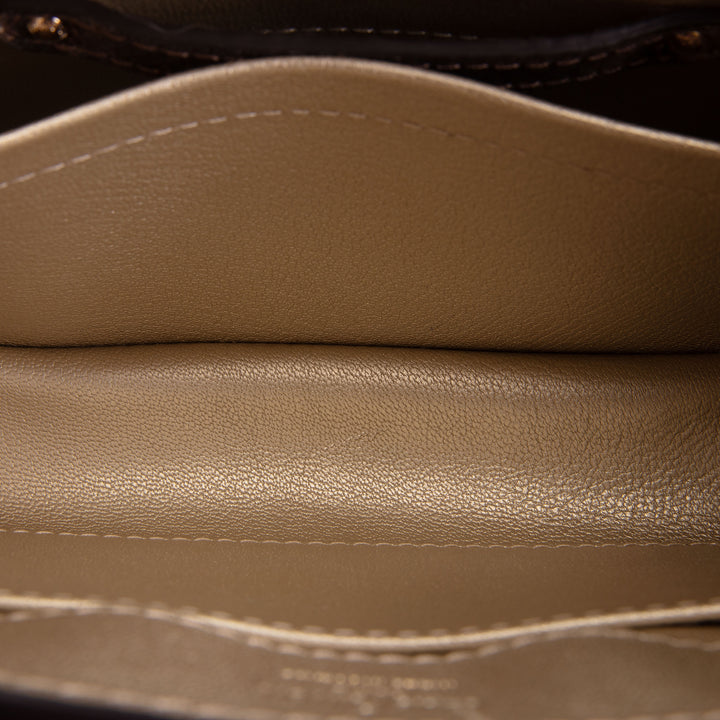 LOUIS VUITTON Lizard Mini Capucines Handle Bag - Brown