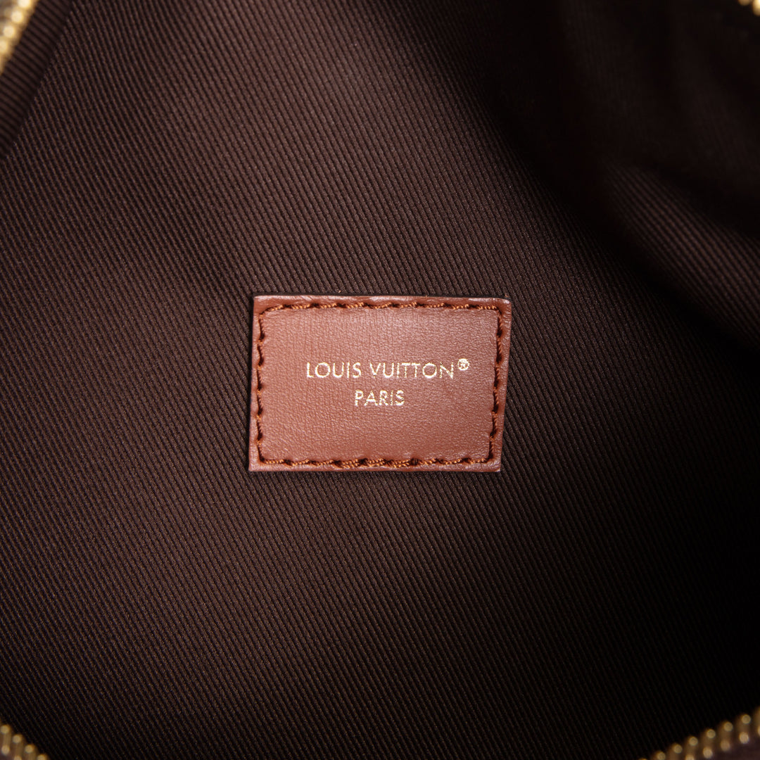LOUIS VUITTON Reverse Monogram Loop Hobo