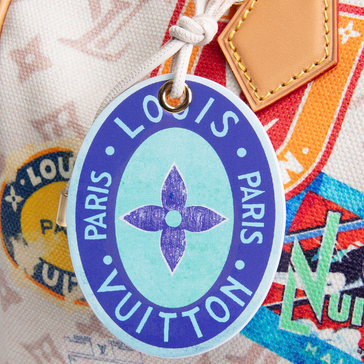 LOUIS VUITTON Speedy Soft 30 - Canvas Monogram Dune w/ Patchwork