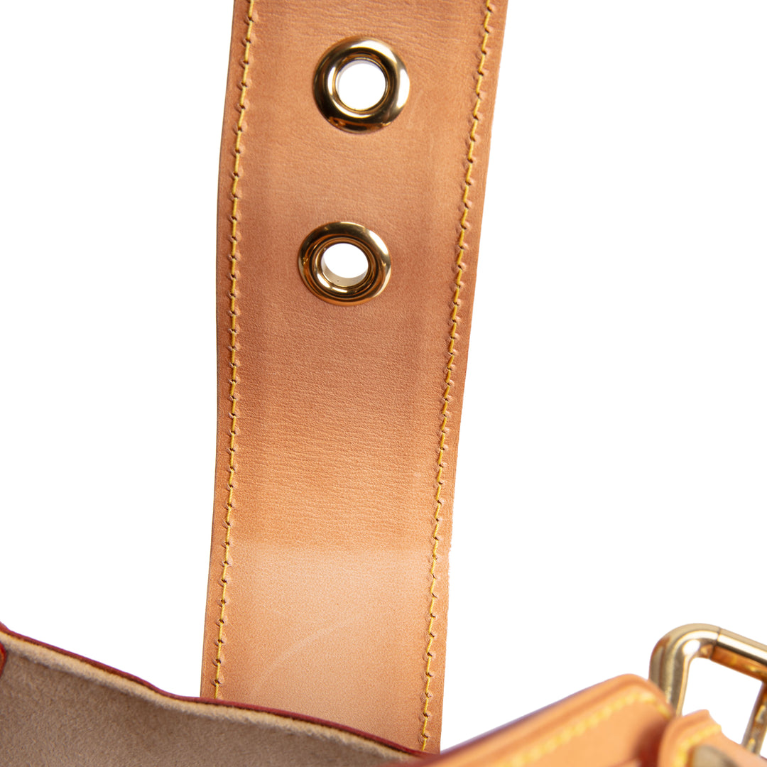 LOUIS VUITTON Monogram Theda GM