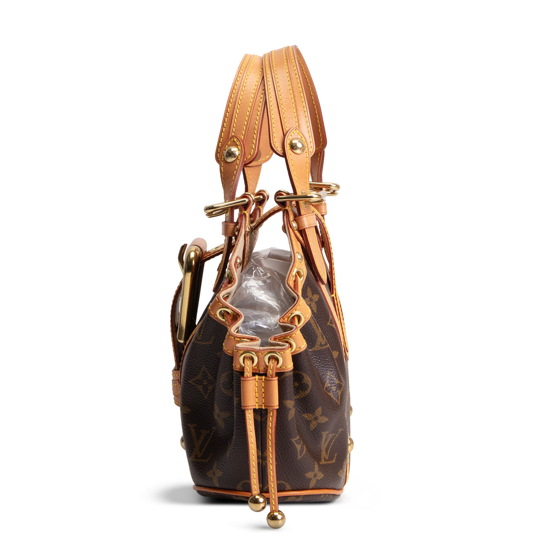 LOUIS VUITTON Monogram Theda GM