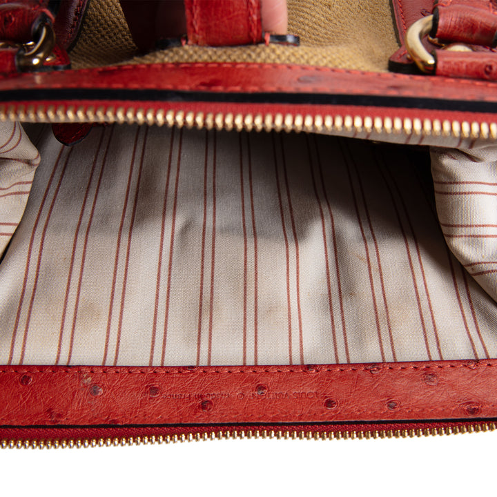 LOUIS VUITTON Ostrich Sac de Nuit Trianon