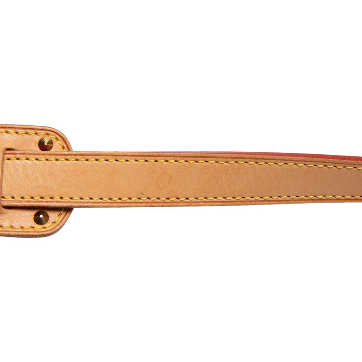 LOUIS VUITTON Multicolore Sologne - Black