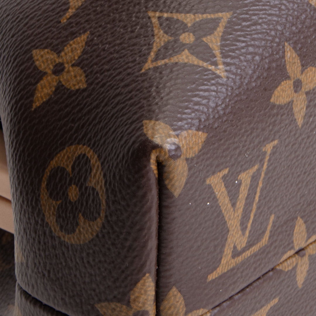 LOUIS VUITTON Top Handle Frame Clutch Bag