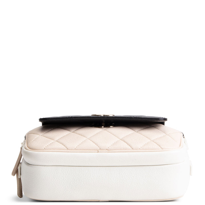 CHANEL Goatskin In &amp; Out Waist Bag