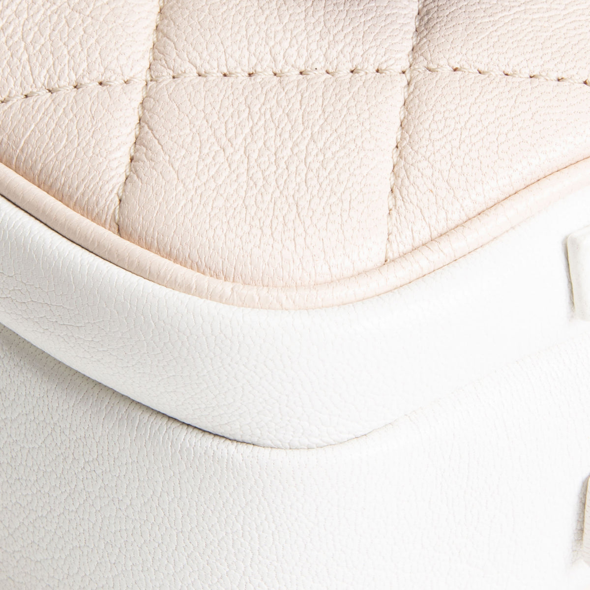 CHANEL Goatskin In &amp; Out Waist Bag