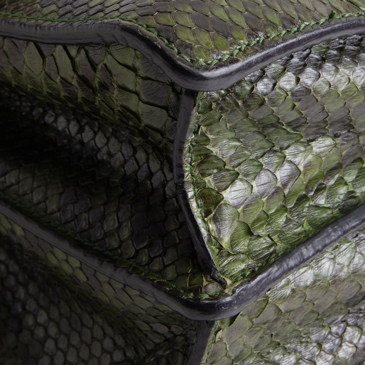 GUCCI Dionysus Large - Green Python