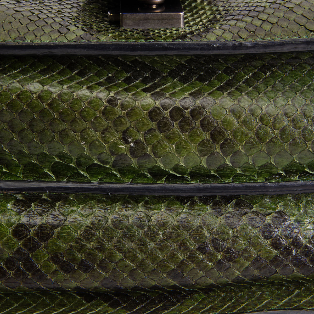 GUCCI Dionysus Large - Green Python