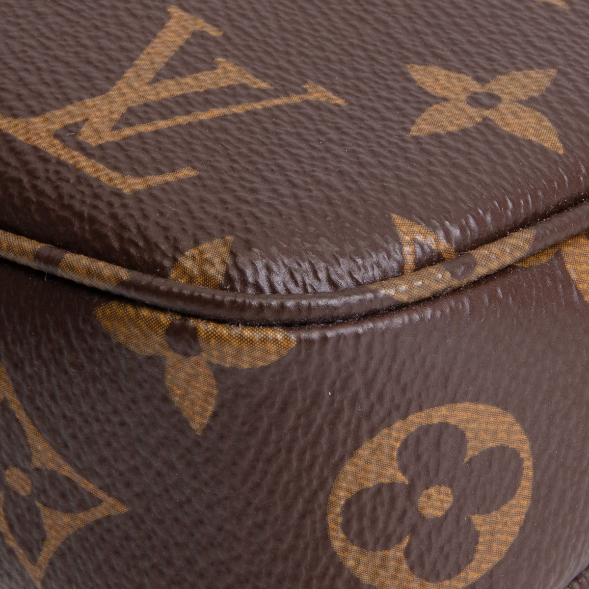 LOUIS VUITTON Pochette Accessories - Monogram
