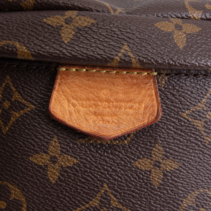 LOUIS VUITTON Monogram Bumbag