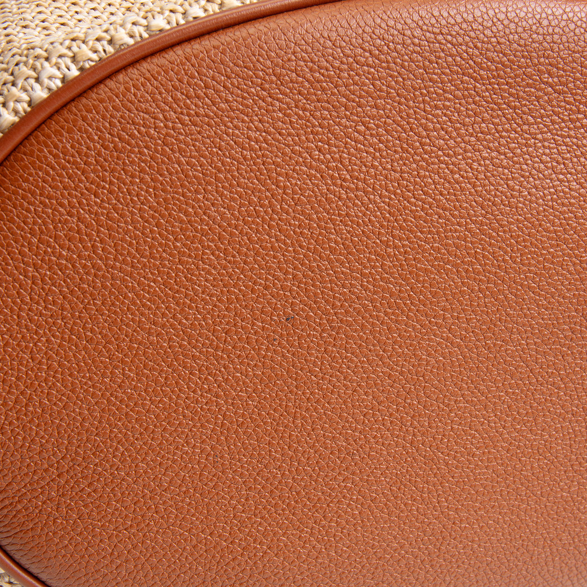 LOUIS VUITTON Raffia Saint Jacques Tote GM
