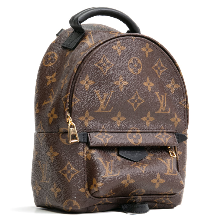 LOUIS VUITTON Palm Springs Mini Backpack