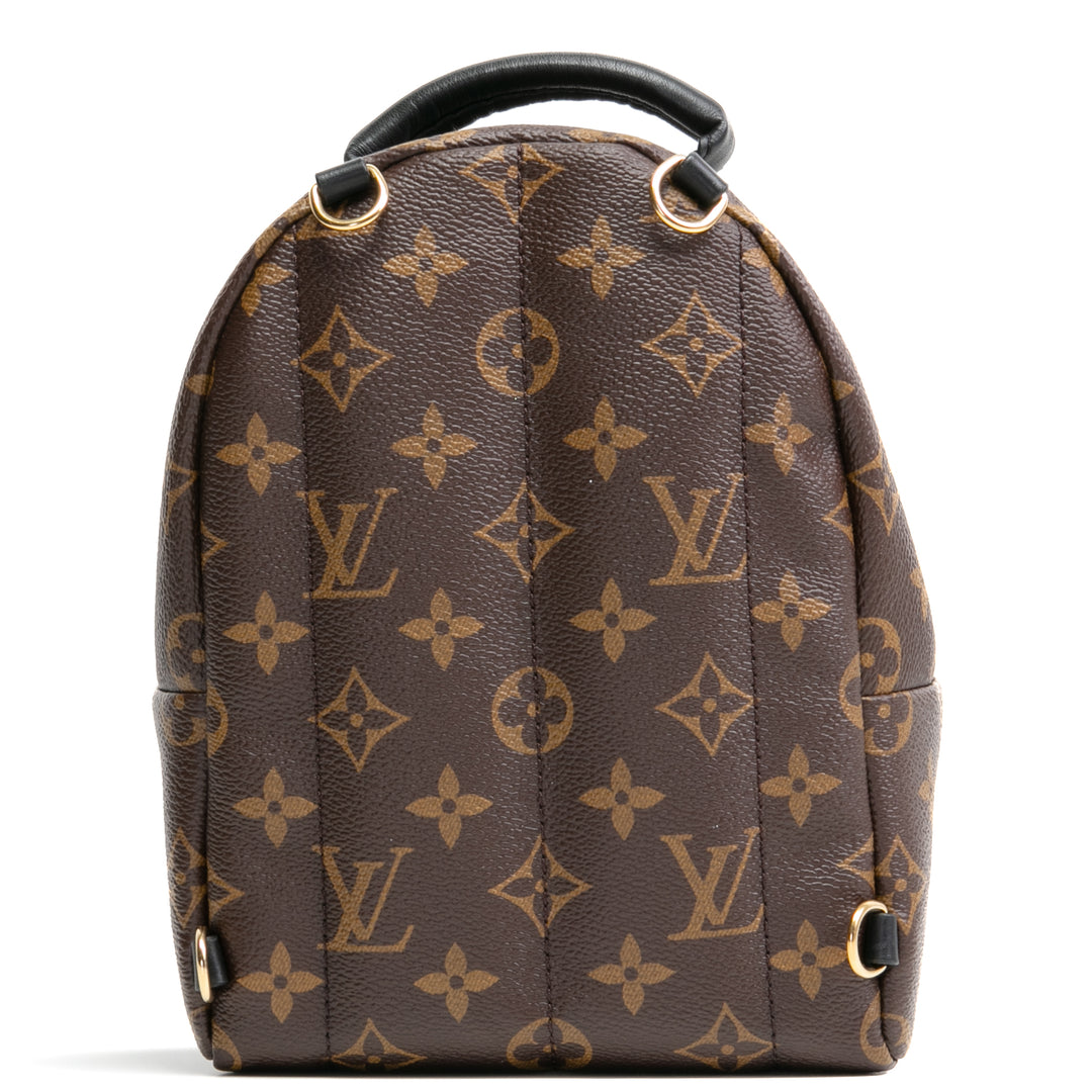 LOUIS VUITTON Palm Springs Mini Backpack