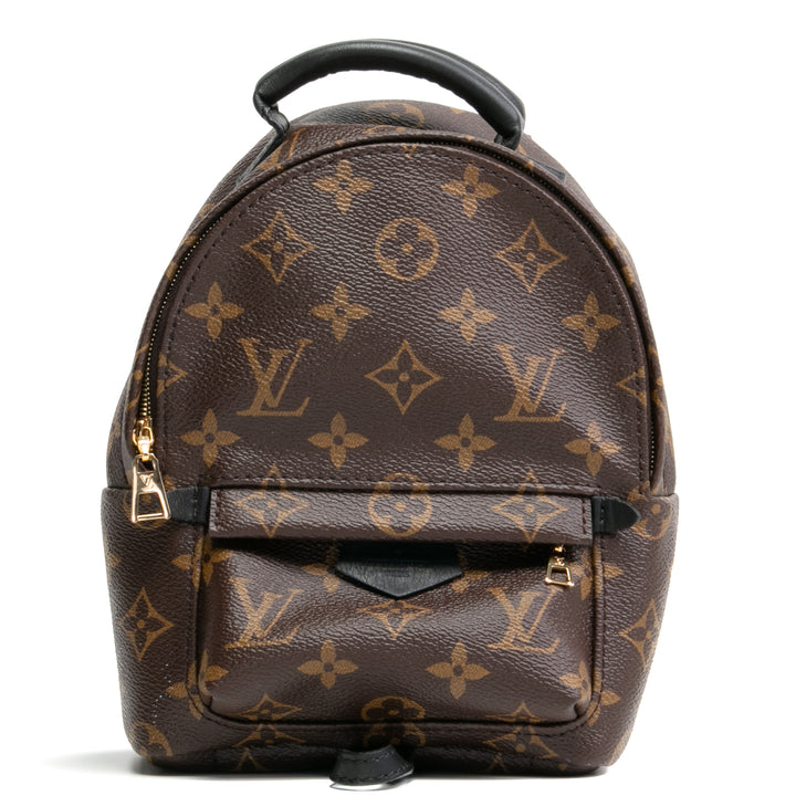 LOUIS VUITTON Palm Springs Mini Backpack