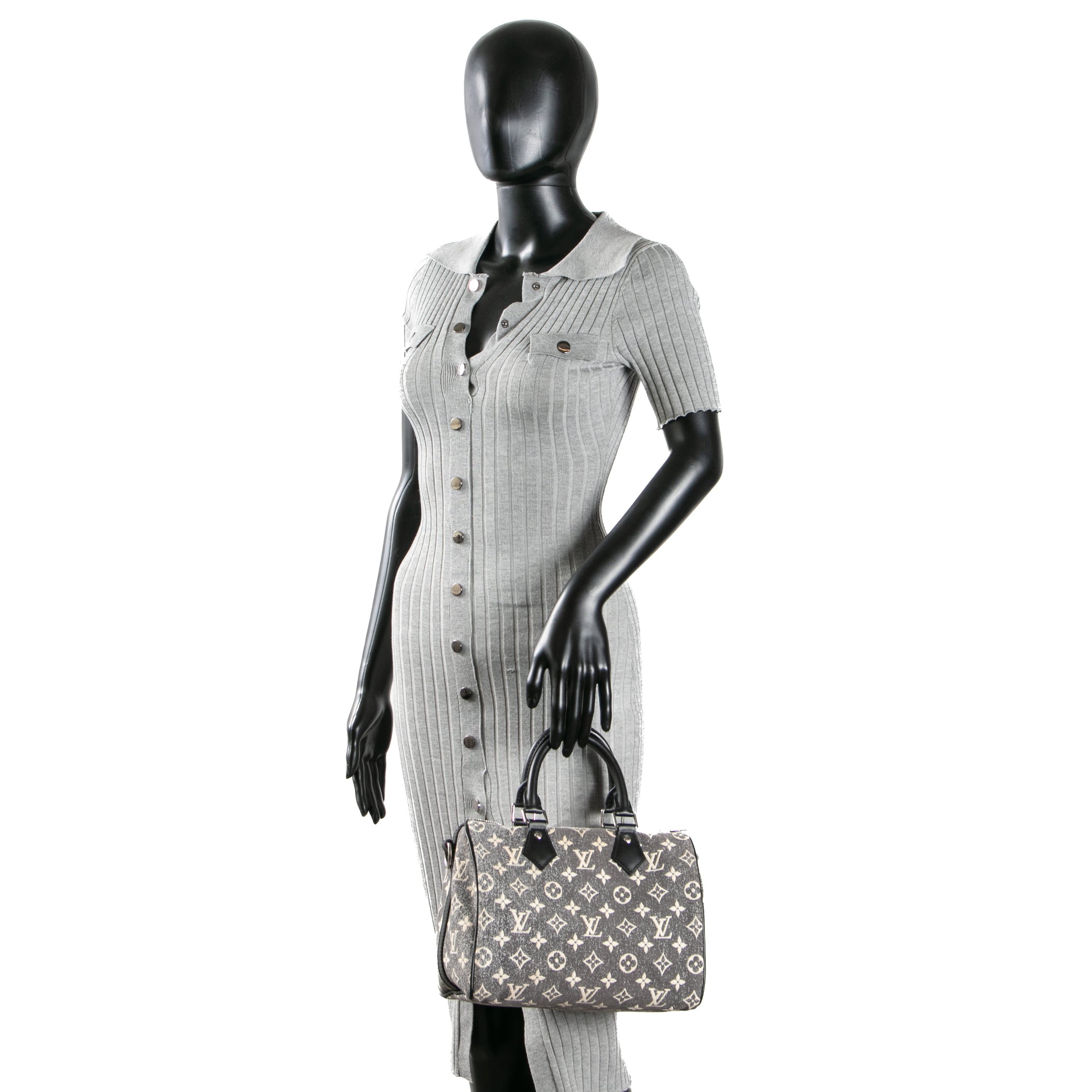 LOUIS VUITTON Monogram Jacquard Denim Speedy Bandouliere 25