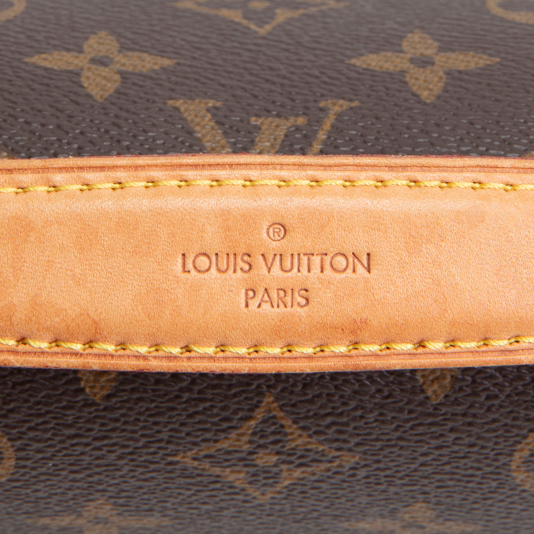 LOUIS VUITTON Monogram Pochette Metis