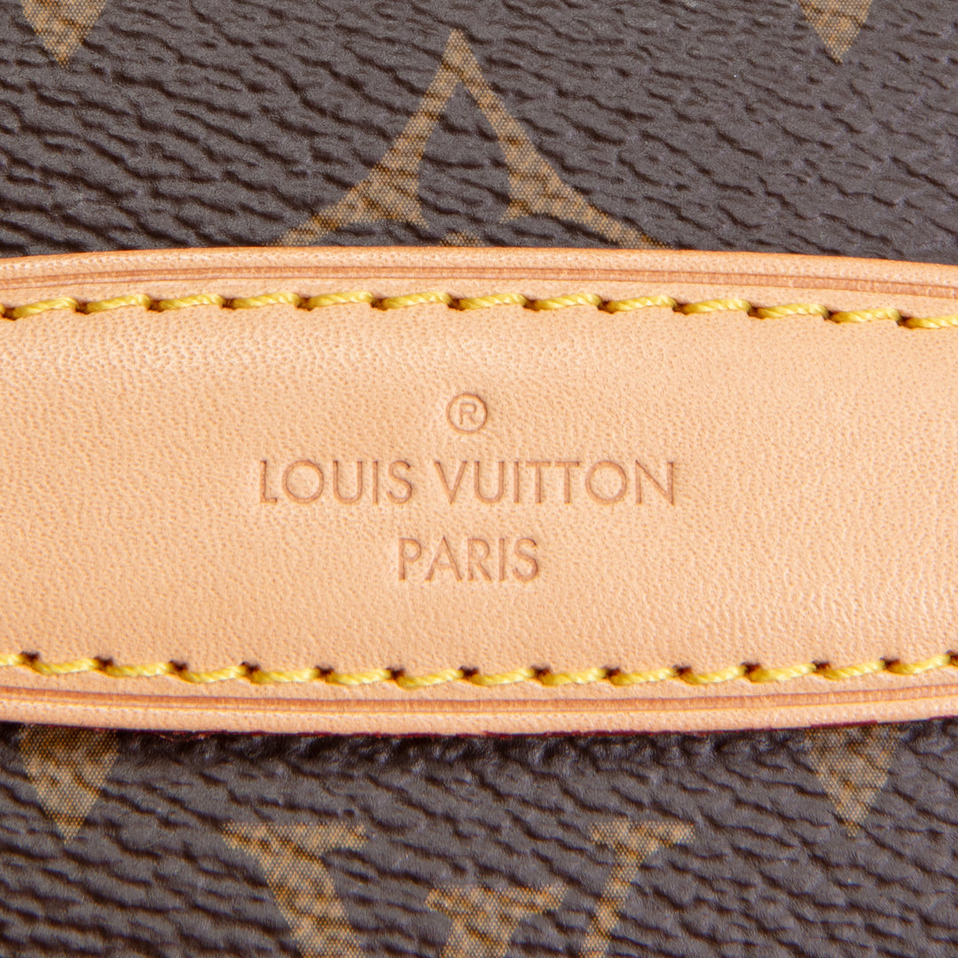 LOUIS VUITTON Monogram Bumbag