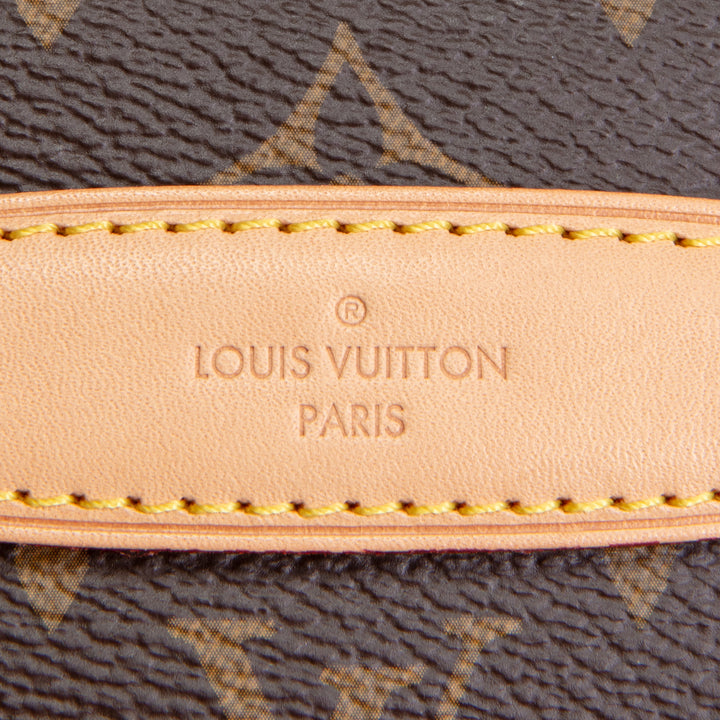 LOUIS VUITTON Monogram Bumbag