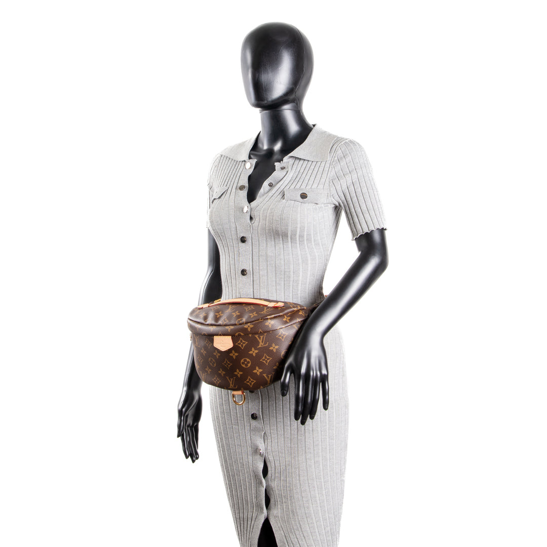 LOUIS VUITTON Monogram Bumbag