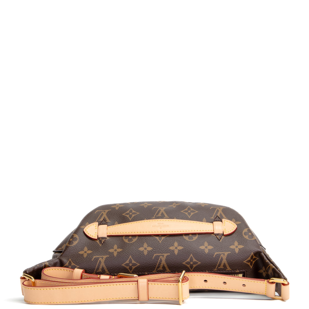 LOUIS VUITTON Monogram Bumbag