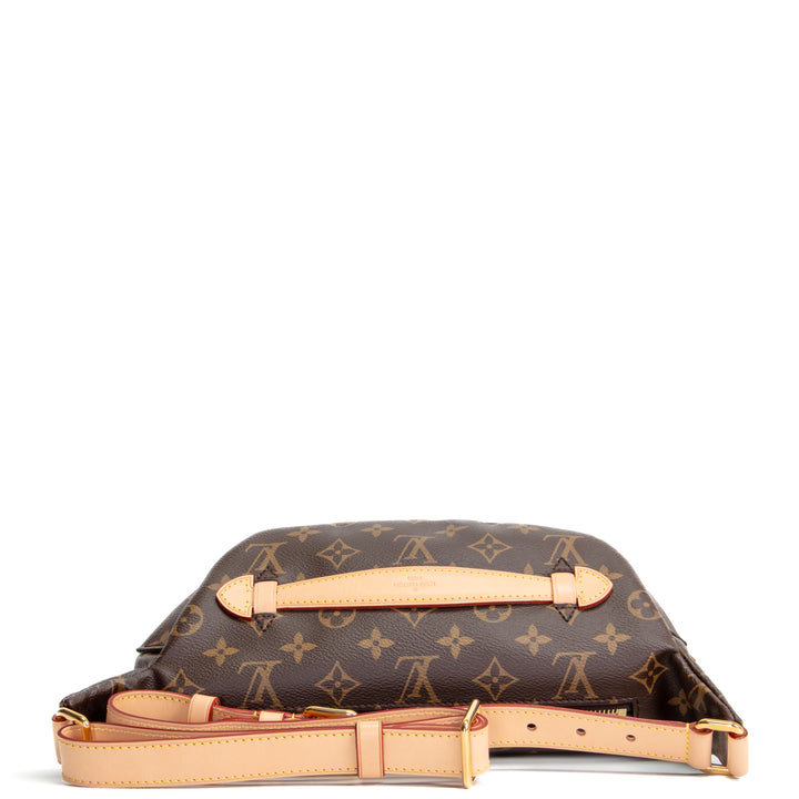 LOUIS VUITTON Monogram Bumbag