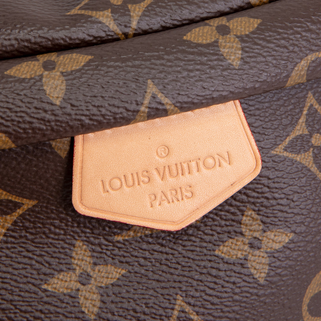 LOUIS VUITTON Monogram Bumbag