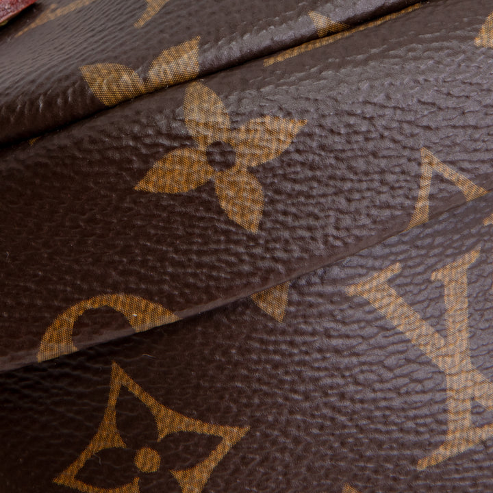 LOUIS VUITTON Monogram Bumbag