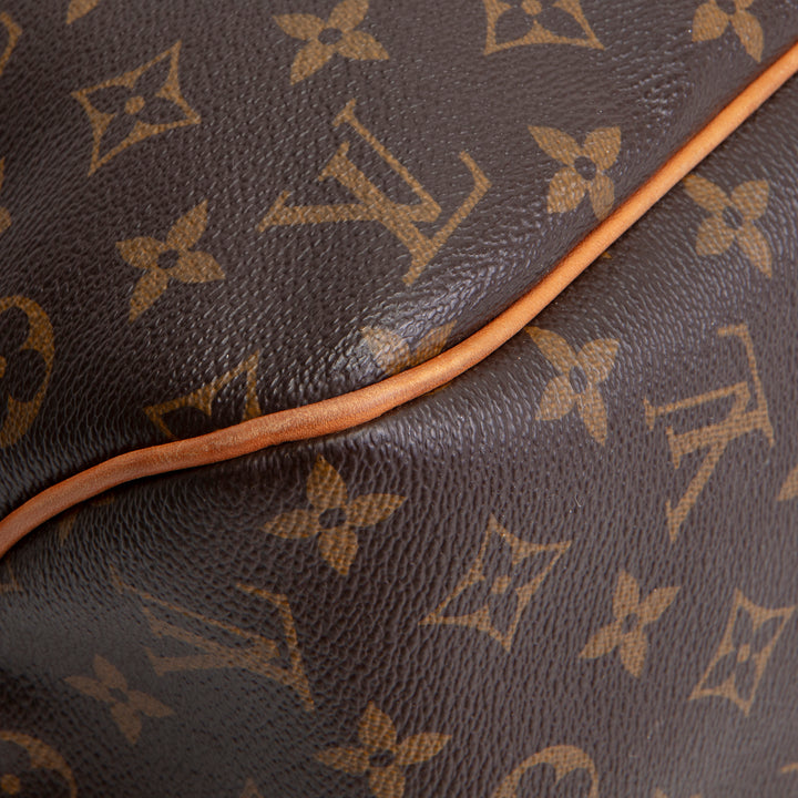 LOUIS VUITTON Delightful MM Monogram