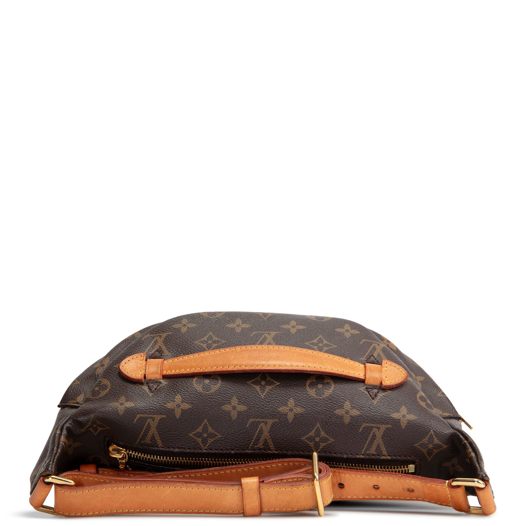 LOUIS VUITTON Monogram Bumbag