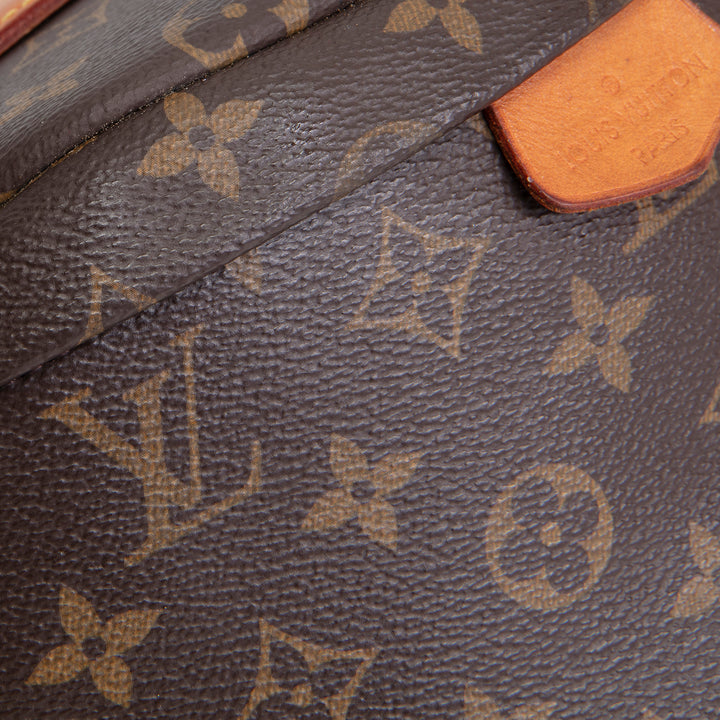 LOUIS VUITTON Monogram Bumbag