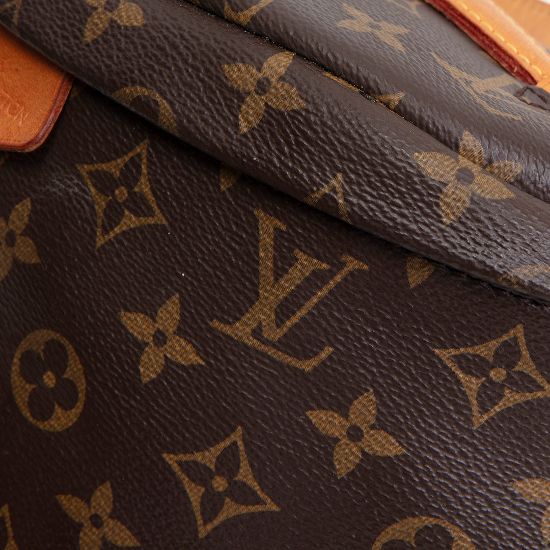 LOUIS VUITTON Monogram Bumbag