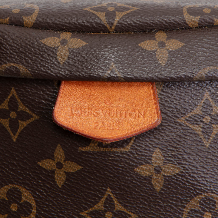 LOUIS VUITTON Monogram Bumbag