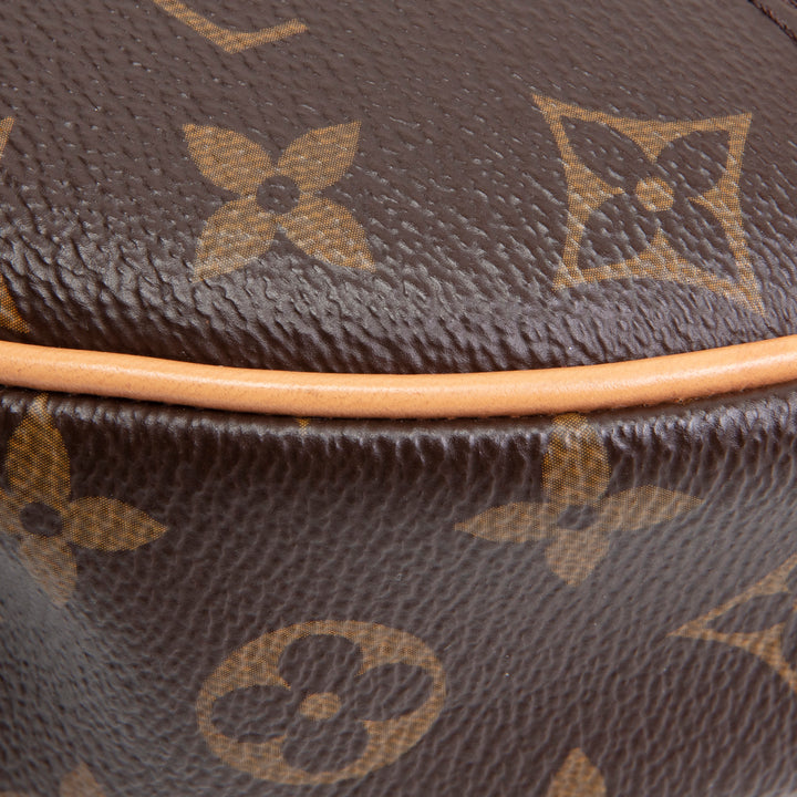 LOUIS VUITTON Monogram Loop