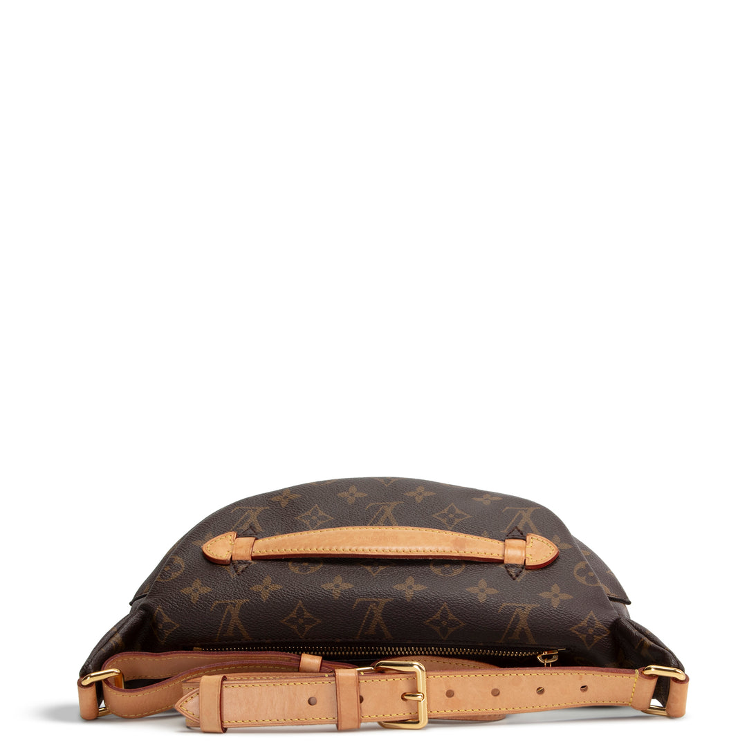 LOUIS VUITTON Monogram Bumbag