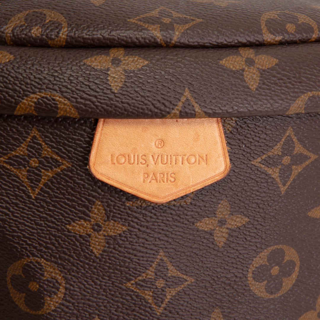 LOUIS VUITTON Monogram Bumbag