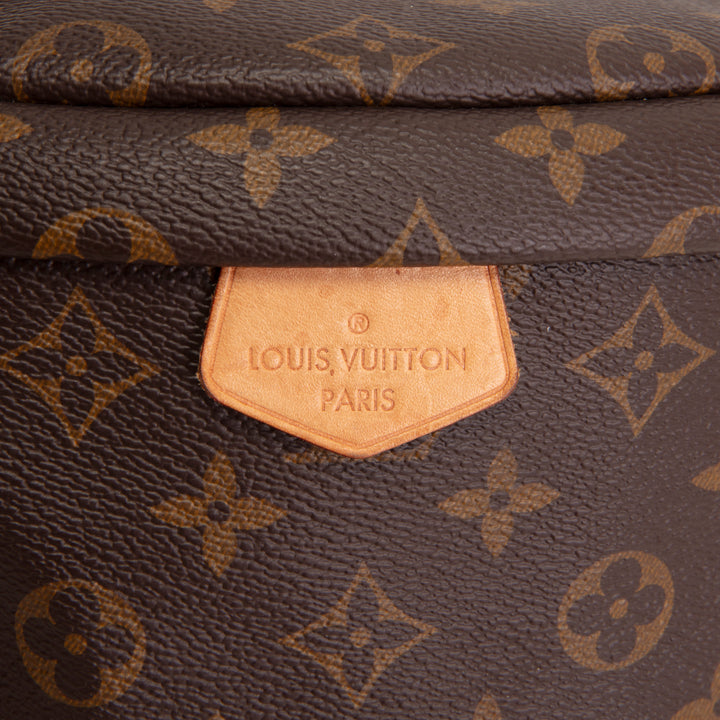 LOUIS VUITTON Monogram Bumbag