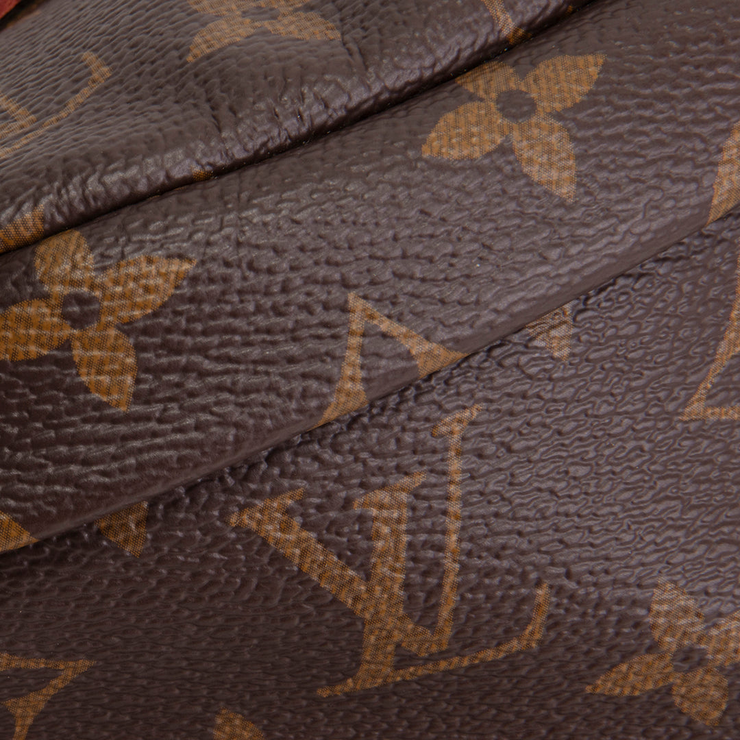 LOUIS VUITTON Monogram Bumbag