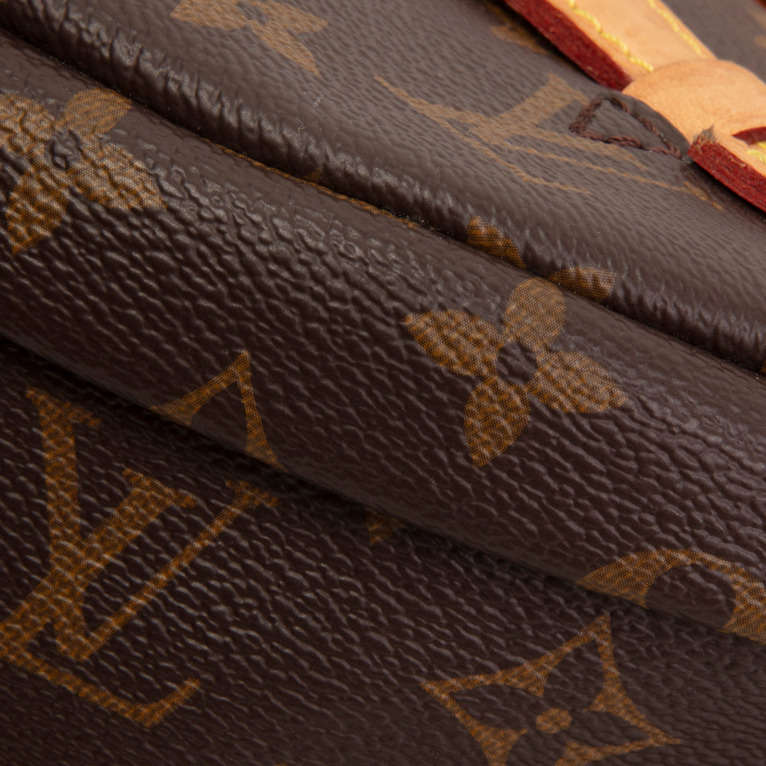 LOUIS VUITTON Monogram Bumbag