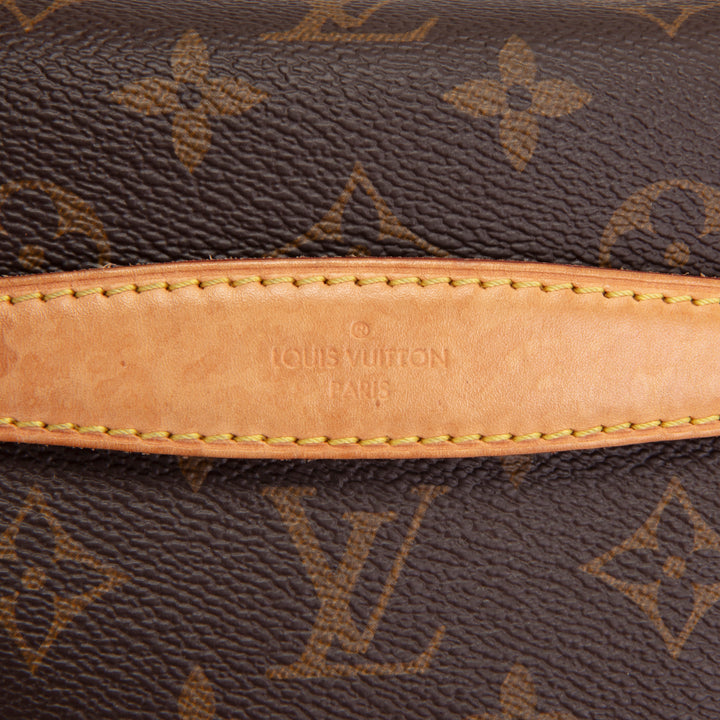 LOUIS VUITTON Monogram Bumbag